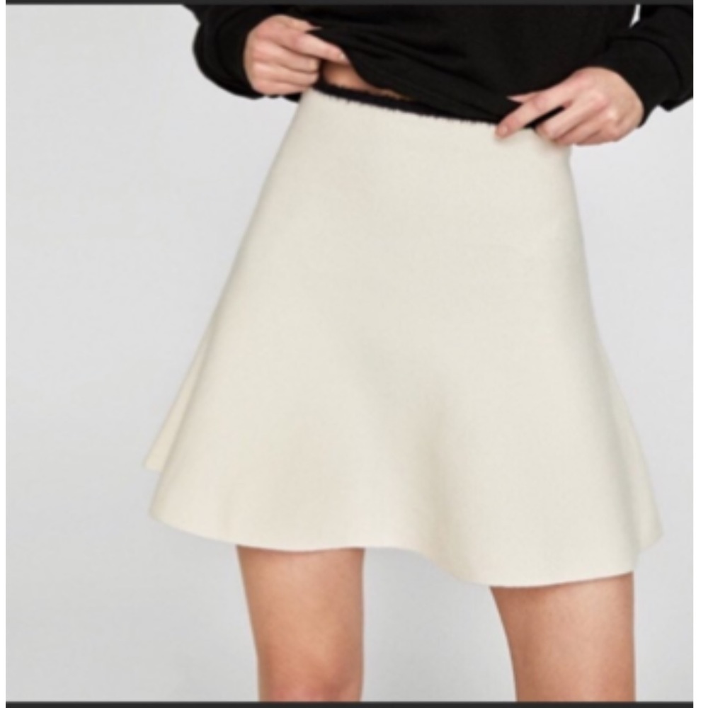 Zara Knit Mini Skirt
